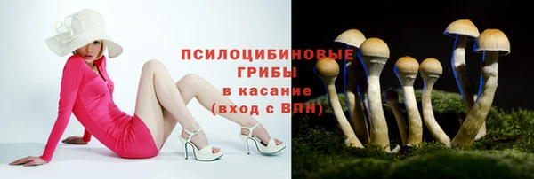 скорость Медвежьегорск