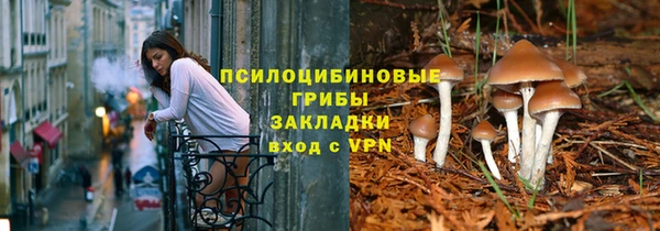 бошки Медногорск