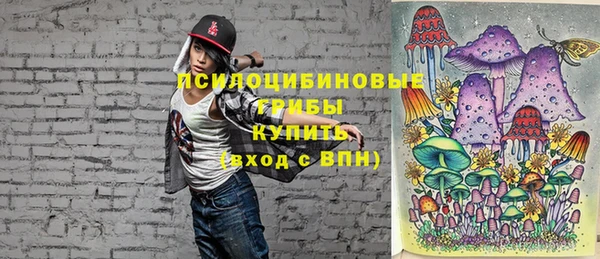 скорость Медвежьегорск
