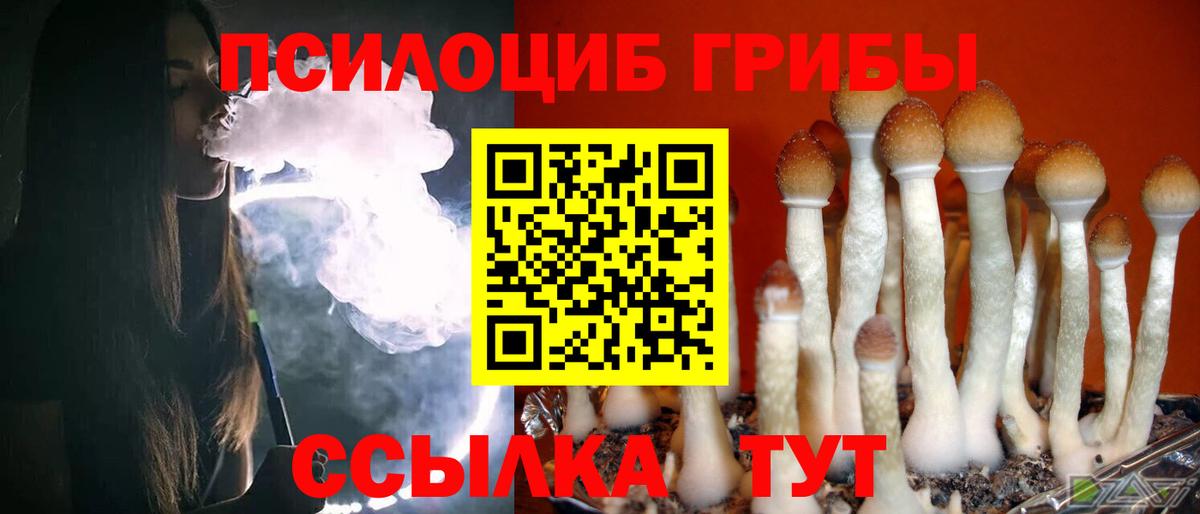 Галлюциногенные грибы Magic Shrooms  купить  сайты  Галлюциногенные грибы MAGIC MUSHROOMS  Чусовой  Вход с VPN 