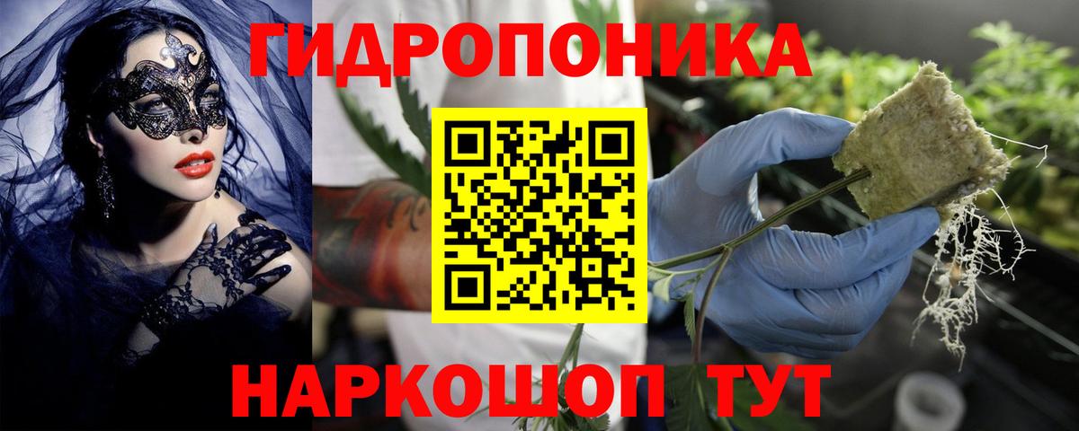 Бошки марихуана сатива  Вход с VPN  Чусовой  Марихуана White Widow  Канабис тримм 